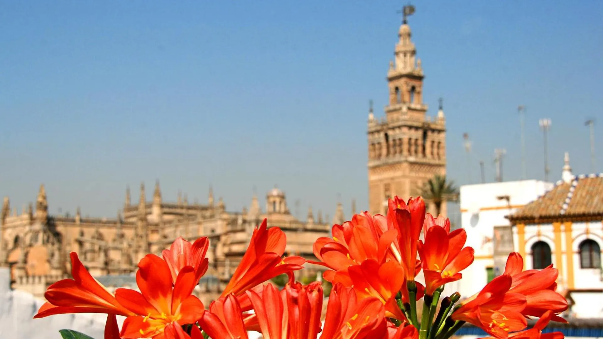 ***  Hotel Boutique Casas De Santa Cruz Seville Spain
